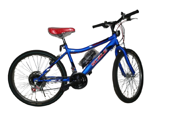 BICICLETA 24 SCALE